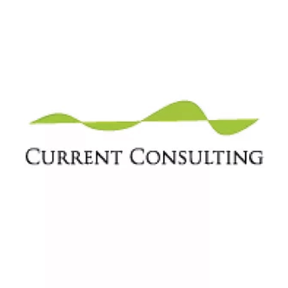 Current-Consulting-Partner-Logos